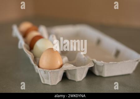 The Farm-fresh organic eggs in carton Stock Photo