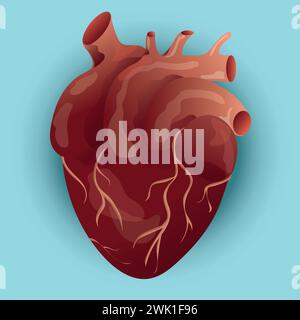 Human heart with anatomical venous system. Hand drawn sketch vintage ...