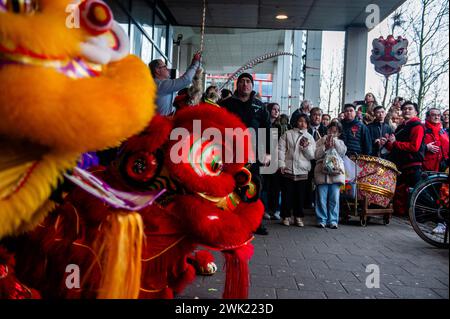 The dragons are seen posing for the audience. Lion dancers and dragon dancers parade through the streets of Rotterdam to bless the new year entrepreneurs. The lion dance ceremony ensures that evil spirits are chased away and brings prosperity and happiness for the new year. Chinese communities around the world welcomed the Year of the Dragon on Tuesday, ushering in the Lunar New Year with prayers, family feasts, and shopping sprees. It is an annual 15-day festival that begins with the new moon between Jan. 21 and Feb. 20 in Western calendars. Stock Photo