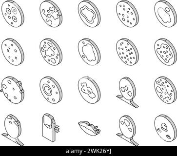 seborrhoeic dermatitis skin disease isometric icon vector illustration ...
