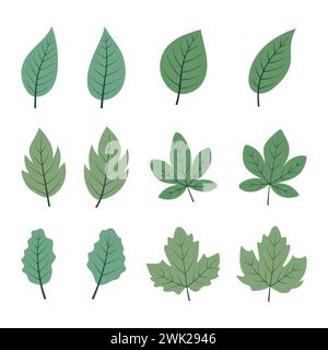 Hand drawn forest leaves collection flat design Stock Vector