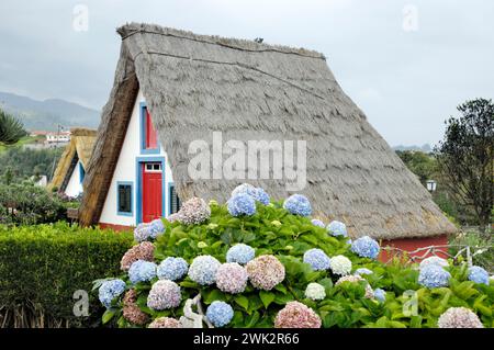 Typical Santana house and hydrangea, hayloft or palheiros Stock Photo