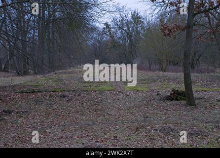 Falkensee, Germany - Feb 1, 2024: In Falkensee the largest satellite camp (Demag Panzerwerke) of the Sachsenhausen concentration camp was located. Clo Stock Photo