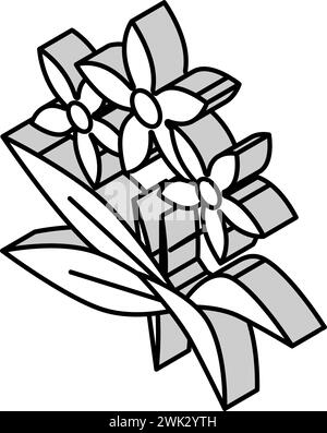 neroli flowers aromatherapy isometric icon vector illustration Stock Vector