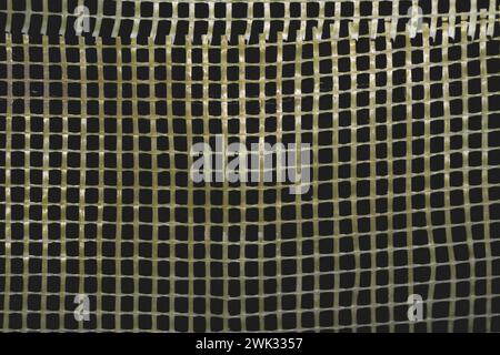 Interwoven colored propylene thread in the form of a mesh Stock Photo