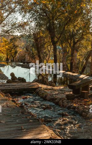 Travel Alentejo interesting places Landscape in Oriental Garden Bacalhoa Buddha Eden Landscape park in Portugal Stock Photo