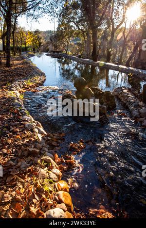 Travel Alentejo interesting places Landscape in Oriental Garden Bacalhoa Buddha Eden Landscape park in Portugal Stock Photo