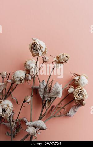 Dried flowers on peach fuzz color background. Withered mini roses with copy space. Sad love concept. Memories of love. Nostalgia concept. Stock Photo