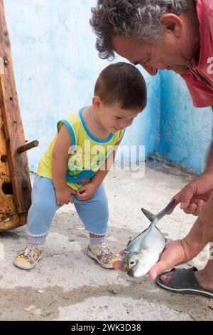 Introduction to fish science with Grandpa at the Cojimar pier. Stock Photo