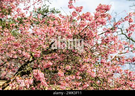 St Mary's Church Lutterworth in Leicestershire, UK Stock Photo