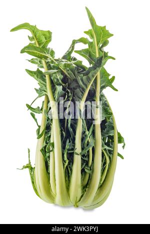 Catalogna asparagus chicory isolated on white with clipping path included Stock Photo