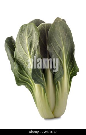 Swiss chard isolated on white with clipping path included Stock Photo