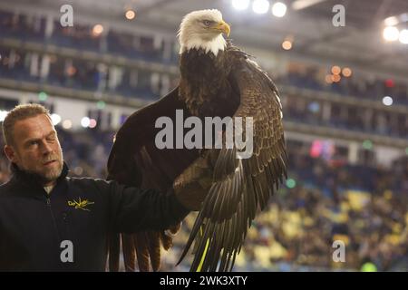 Arnhem, Netherlands. 18th Feb, 2024. ARNHEM, NETHERLANDS - FEBRUARY 18: Vitesse eagle Hertog during the Dutch Eredivisie match between Vitesse and FC Volendam at Stadion Gelredome on February 18, 2024 in Arnhem, Netherlands. (Photo by Ben Gal/Orange Pictures) Credit: Orange Pics BV/Alamy Live News Stock Photo