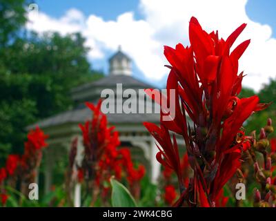 Gainesville, Florida, United States - May 17, 2015: Kanapaha Botanical Gardens. Stock Photo