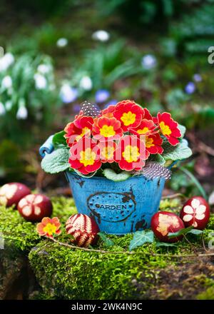 Floristic arrangement with yellow, orange primula flowers in a vintage old turquoise pot with "Garden" wort on it and easter eggs. Stock Photo