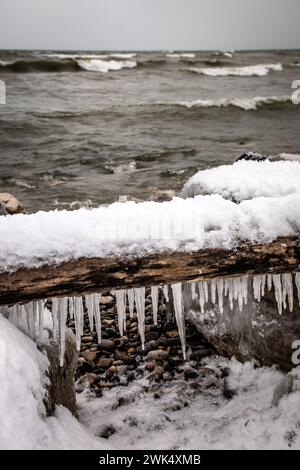 Icicles hanging from an old log on a rocky beach with waves. Southampton, Ontario, Canada Stock Photo