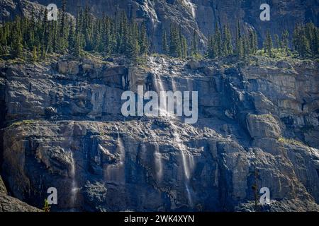 Weeping wall waterfalls off the Icefields Parkway in Banff National Park, Alberta, Canada. Stock Photo