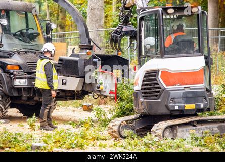 Arborist using a wood chipper machine for shredding trees and branches. The tree surgeon is wearing a safety helmet with a visor and ear protectors Stock Photo