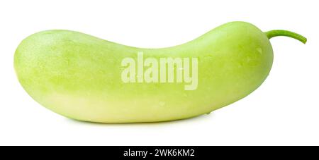 Front view or side view of Chinese wax gourd or white gourd is isolated on white background with clipping path. Stock Photo