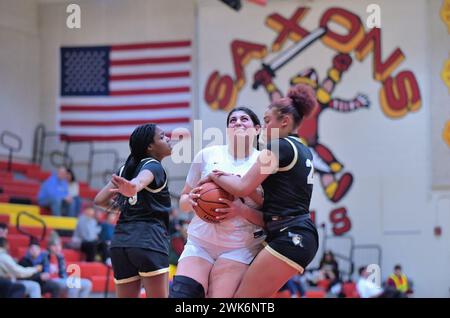 Illinois, USA. Two forwards grasp the basketball in an effort to obtain possession. Stock Photo