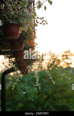 Porch of a wooden house in the forest on the river bank Stock Photo - Alamy