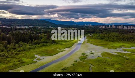 An aerial view of river and forest at sunset Stock Photo