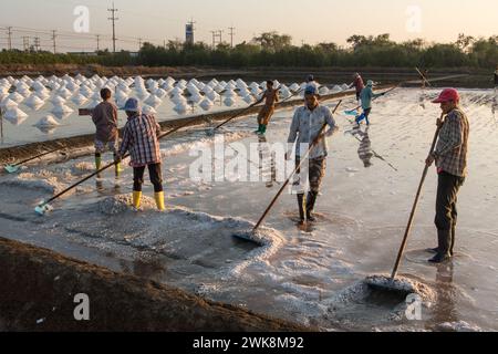 Workers producing salt by traditional methods used for thousands of years at a salt farm in Samut Sakhon,Thailand. Stock Photo