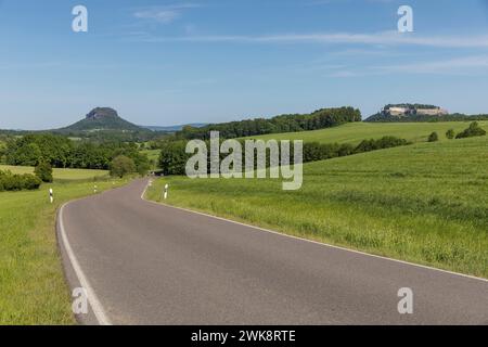 Landstraße zwischen Struppen und Thürmsdorf mit Aussicht auf Lilienstein und Festung Königstein, Sächsische Schweiz, Sachsen, Deutschland *** Country Stock Photo