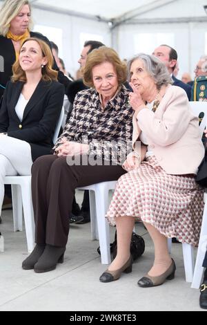 Alcorcon, Madrid, Spain. 19th Feb, 2024. The former Queen Sofia attends Opening and visit to the new dialysis centre 'Los Llanos III' of the Fundacion Renal Ãnigo Alvarez de Toledo and presentation of the platform 'Salud Renal Siempre' at Los Llanos III Center on February 19, 2024 in Alcorcon, Spain (Credit Image: © Jack Abuin/ZUMA Press Wire) EDITORIAL USAGE ONLY! Not for Commercial USAGE! Stock Photo