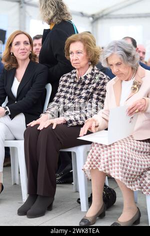 Alcorcon, Madrid, Spain. 19th Feb, 2024. The former Queen Sofia attends Opening and visit to the new dialysis centre 'Los Llanos III' of the Fundacion Renal Ãnigo Alvarez de Toledo and presentation of the platform 'Salud Renal Siempre' at Los Llanos III Center on February 19, 2024 in Alcorcon, Spain (Credit Image: © Jack Abuin/ZUMA Press Wire) EDITORIAL USAGE ONLY! Not for Commercial USAGE! Stock Photo