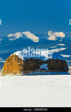 haystack below the flint creek range in winter near avon, montana Stock Photo