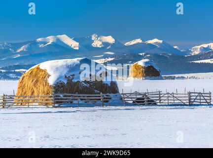 haystacks below the flint creek range in winter near avon, montana Stock Photo