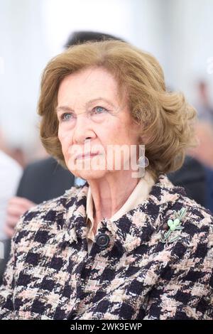 Alcorcon, Madrid, Spain. 19th Feb, 2024. The former QUEEN SOFIA attends the opening of the new dialysis centre 'Los Llanos III' of the Fundacion Renal nigo Alvarez de Toledo and presentation of the platform 'Salud Renal Siempre' at Los Llanos III Center in Alcorcon, Spain. (Credit Image: © Jack Abuin/ZUMA Press Wire) EDITORIAL USAGE ONLY! Not for Commercial USAGE! Stock Photo