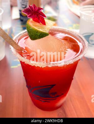 Hollywood Beach, FL - US - Feb 9, 2024 Closeup of Margaritaville Resorts Landshark Cafe’s refreshing frozen strawberry daiquiri, rimmed with salt and Stock Photo