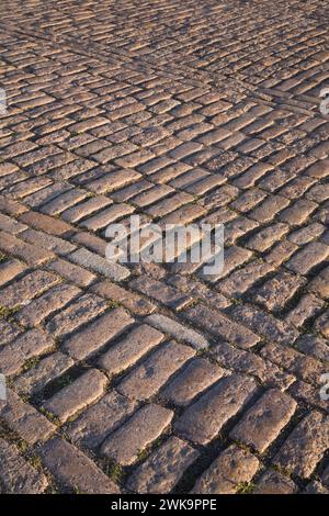Close-up of rectangular tan and brown cobble style paving stones in street in early morning light, Old Port of Montreal, Quebec, Canada. Stock Photo