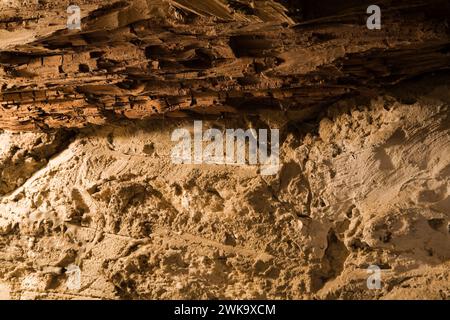 Close-up of insect ravaged and decaying supporting log resting on top of foundation wall in basement of an old home. Stock Photo