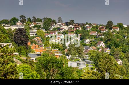 Im Schaffhauser Quartier Buchtthalen stehen zahlreiche Einfamilienhäuser. (Schaffhausen, Schweiz, 16.06.2023) Stock Photo