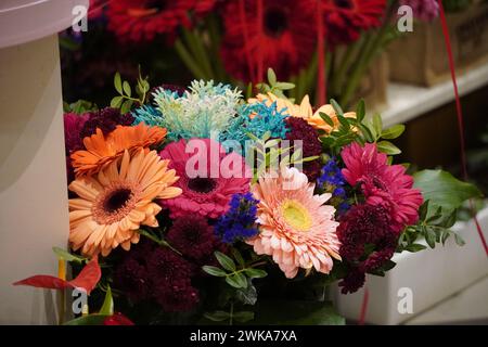 Colorful gerbera flowers in a florist shop Stock Photo