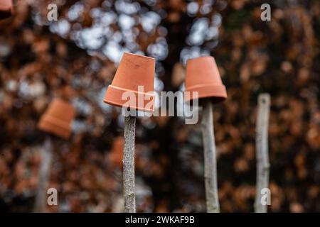 Clay plant pot cane stoppers. Plant pots are being used to protect eyes from injuries from the tops of sticks. Stock Photo