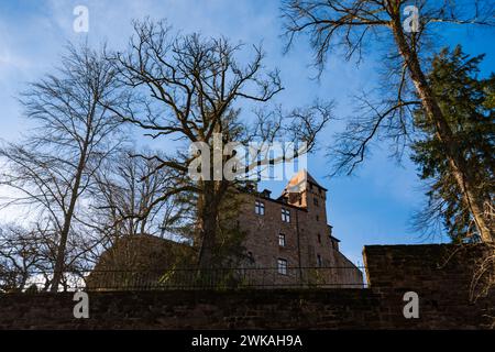 Berwartstein Castle (German: Burg Berwartstein) is a castle in the Wasgau, the southern part of the Palatinate Forest in the state Rhineland-Palatinat Stock Photo