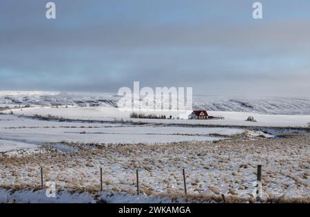 Country covered by thin layer of a snow in the autumn. Fields and pastures and a house with red roof.  Cloudy sky. Nordausturvegur, North Iceland. Stock Photo