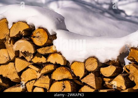 Pile of firewood covered in snow during winter. Stock Photo