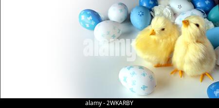 Colors eggs and yellow chicks on a white background. An Easter card with a copy of the place for the text. Holiday concept. Stock Photo