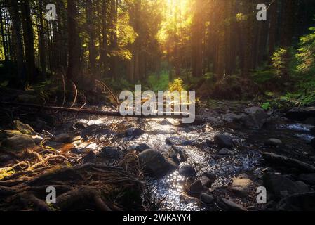 Beautiful nature landscape with mountain river in the forest during sunset. Stock Photo