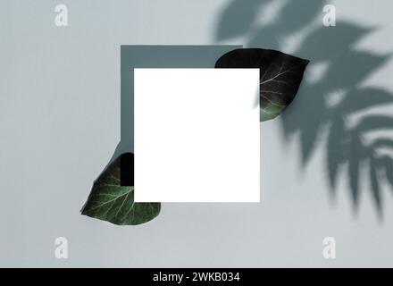Stylish background with square paper card with green leaves on pastel soft blue background. Creative minimal concept in daylight with blurred shadow o Stock Photo