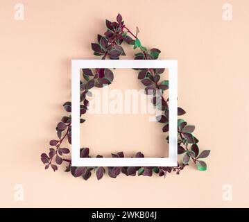 Creative geometric layout made of branches with green leaves in triangle shape and paper card frame on pastel beige background. Stock Photo