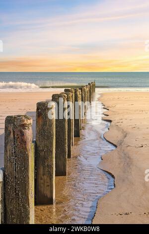 Beach wood struts leading into the sea Stock Photo