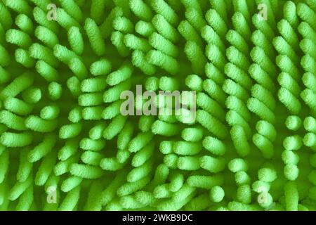 Abstract green background. Green abstract texture like coral. Stock Photo