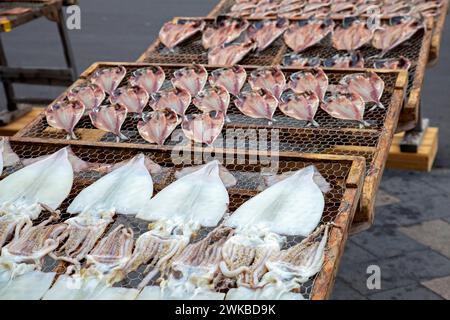 Dried Horse Mackerel and Squid for sale in a seafood store in Numaza, Shizuoka Prefecture, Japan. Stock Photo