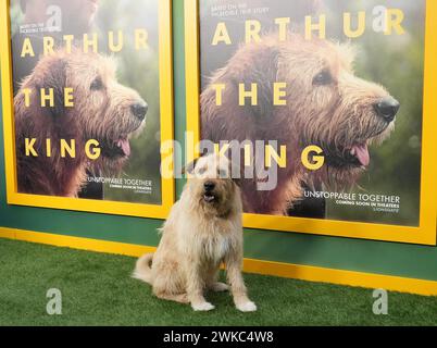 Los Angeles, USA. 19th Feb, 2024. Ukai arrives at the Lionsgate's ARTHUR THE KING Los Angeles Screening held at the AMC Century City in Los Angeles, CA on Monday, ?February 19, 2024. (Photo By Sthanlee B. Mirador/Sipa USA) Credit: Sipa USA/Alamy Live News Stock Photo